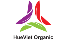 logo huế việt